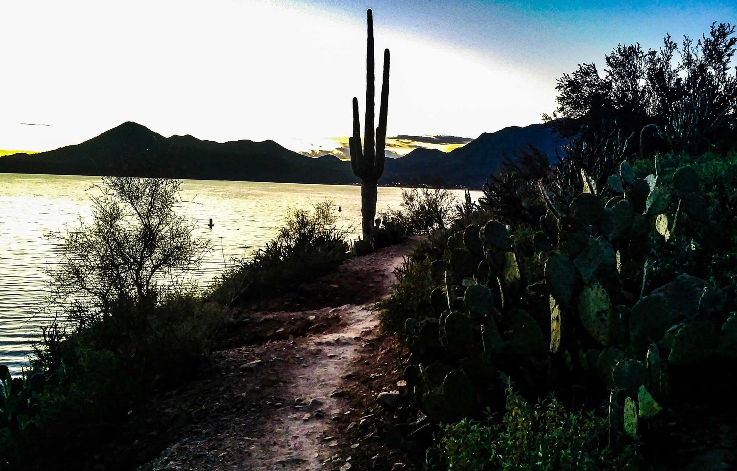 Read more about the article Saguaro Lake: A Boater’s Dream