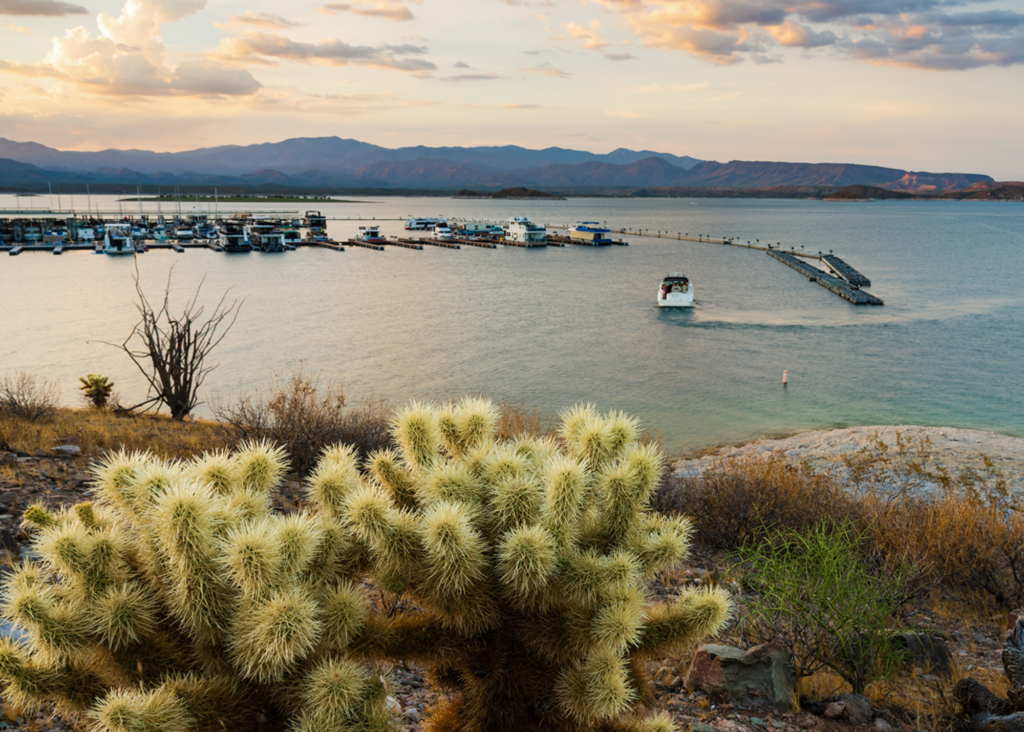 Boat Rental