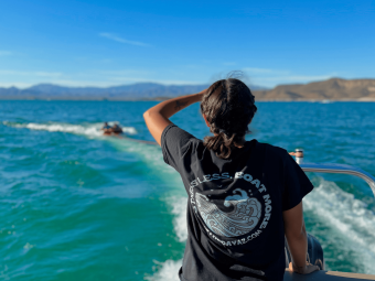 lake pleasant boat rentals