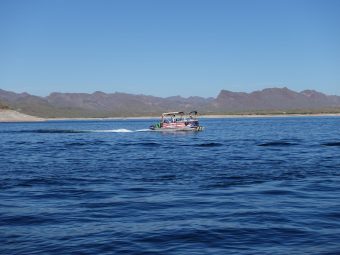 boat rental