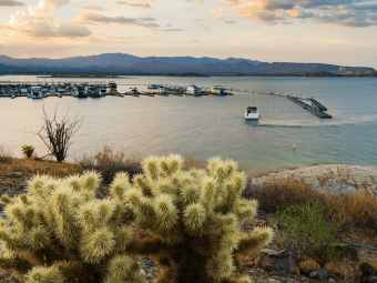 lake pleasant boat rentals